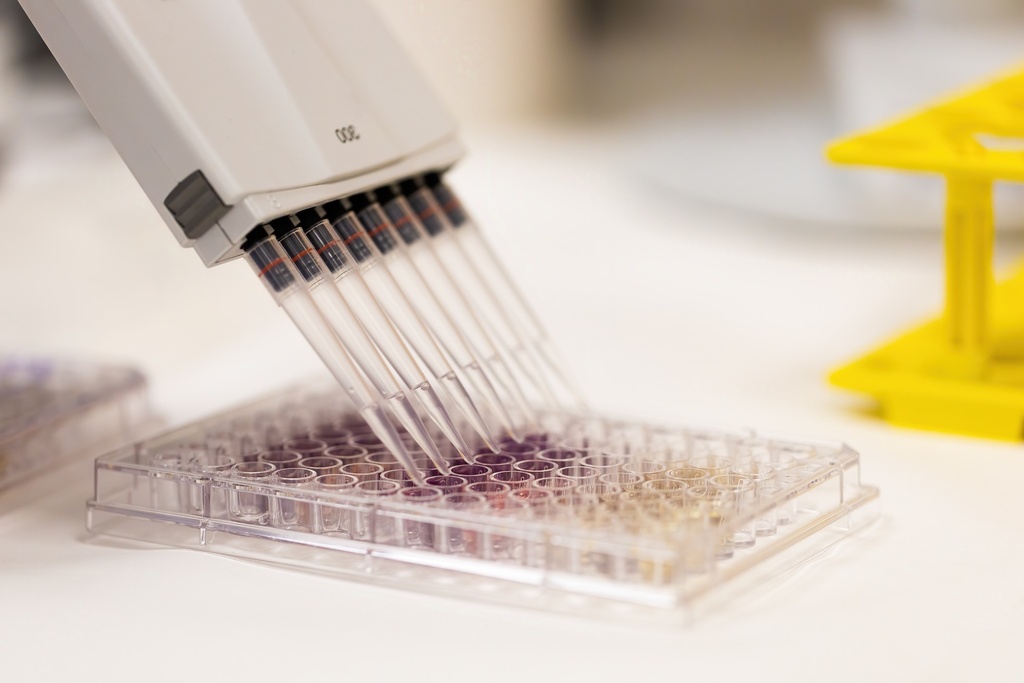96-well QPCR plate for Light Cycler 480 (4x25)